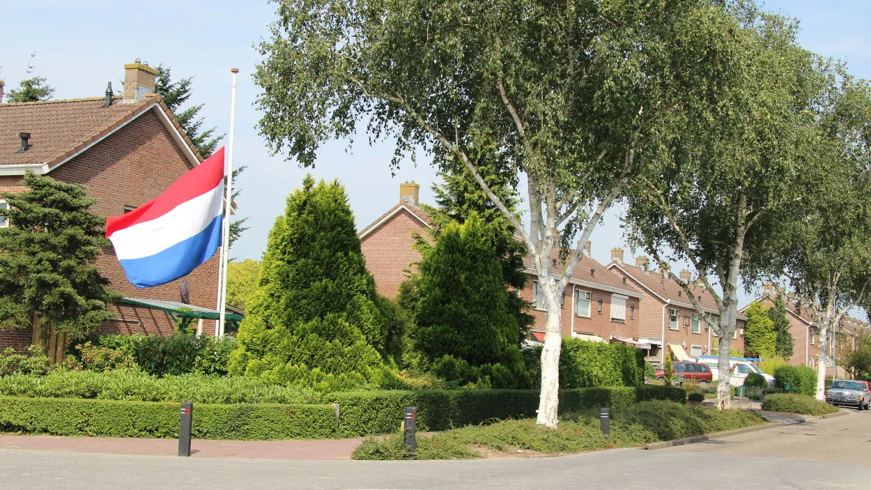 q3v7xqw0pykom2espdr6p3kwd 29en halfstok