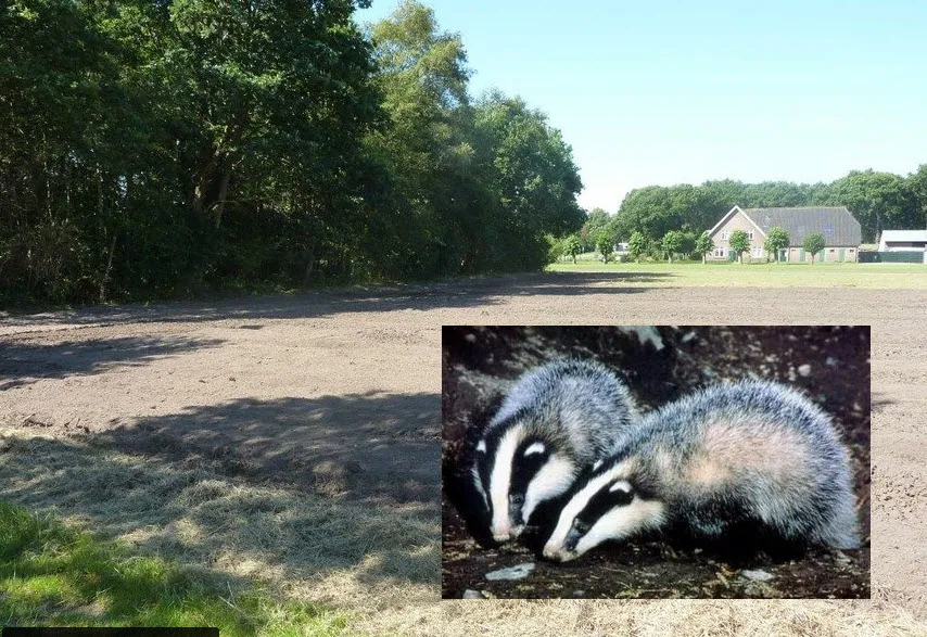 qnxh9tfpxyji0mt5ptcp3vjof 35en das