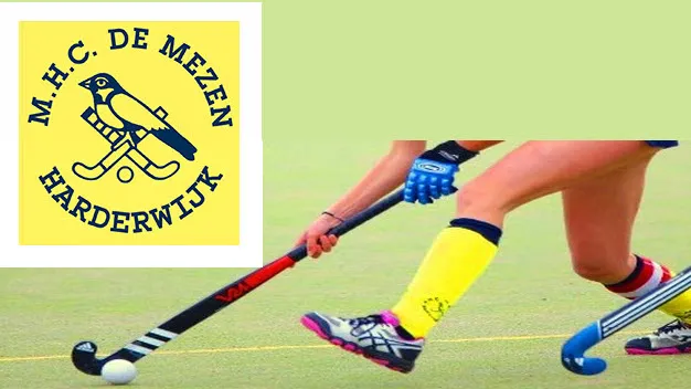 ruxuq27qi35f48tw8z5icqqx1 47en mezen