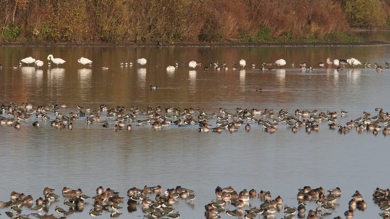 rwycvanijsabkqwynwdxjdi6m 02en knnv