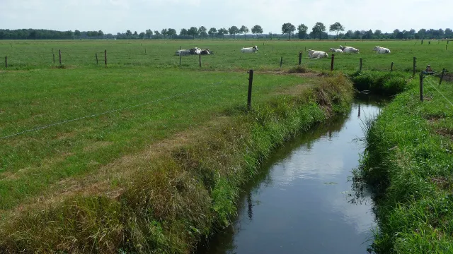 v6sv846qwbtjj2rdxv4xf6s5j 50en knnv