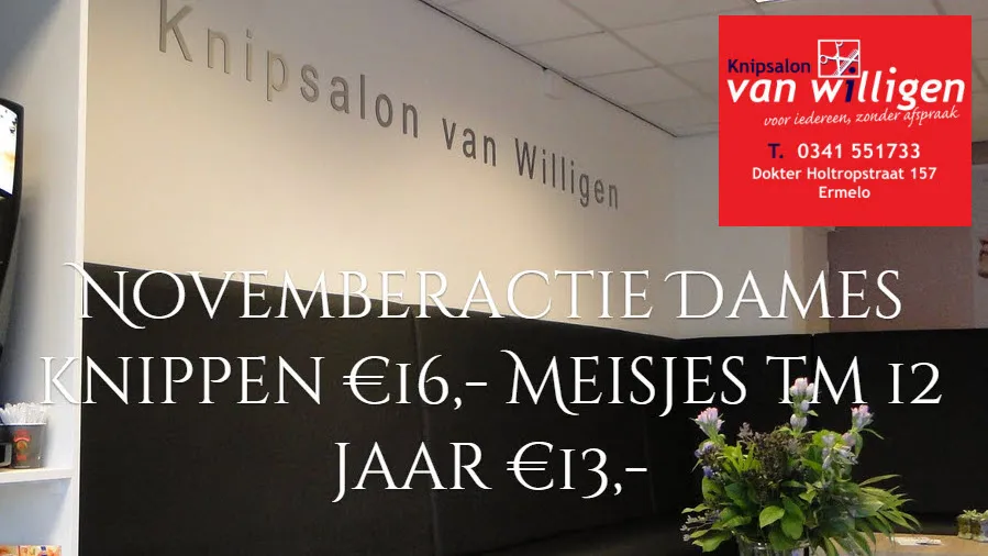 wt6reeo6xuhxh5kp7wt0g5f6z 47en knipsalon