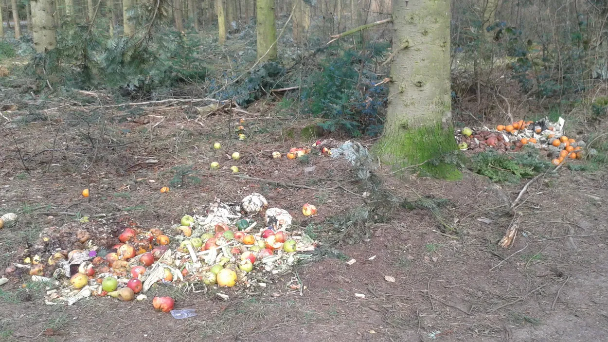 xamohxwc0o825wjnxbad7l665 12en dump 1