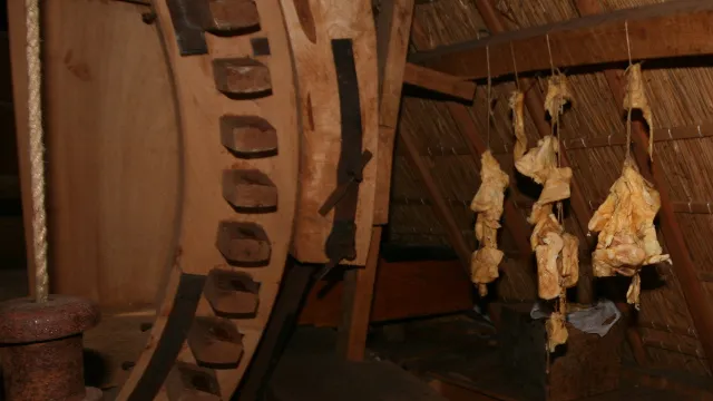 y533rp88wu0d503n11wwicbw8 50en molen de koe