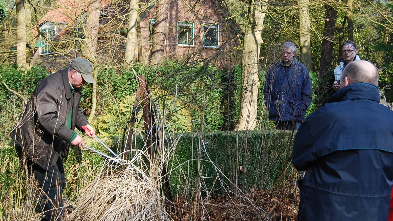 y7futorwf04sbde6au9d9yjli 08en groei en bloei