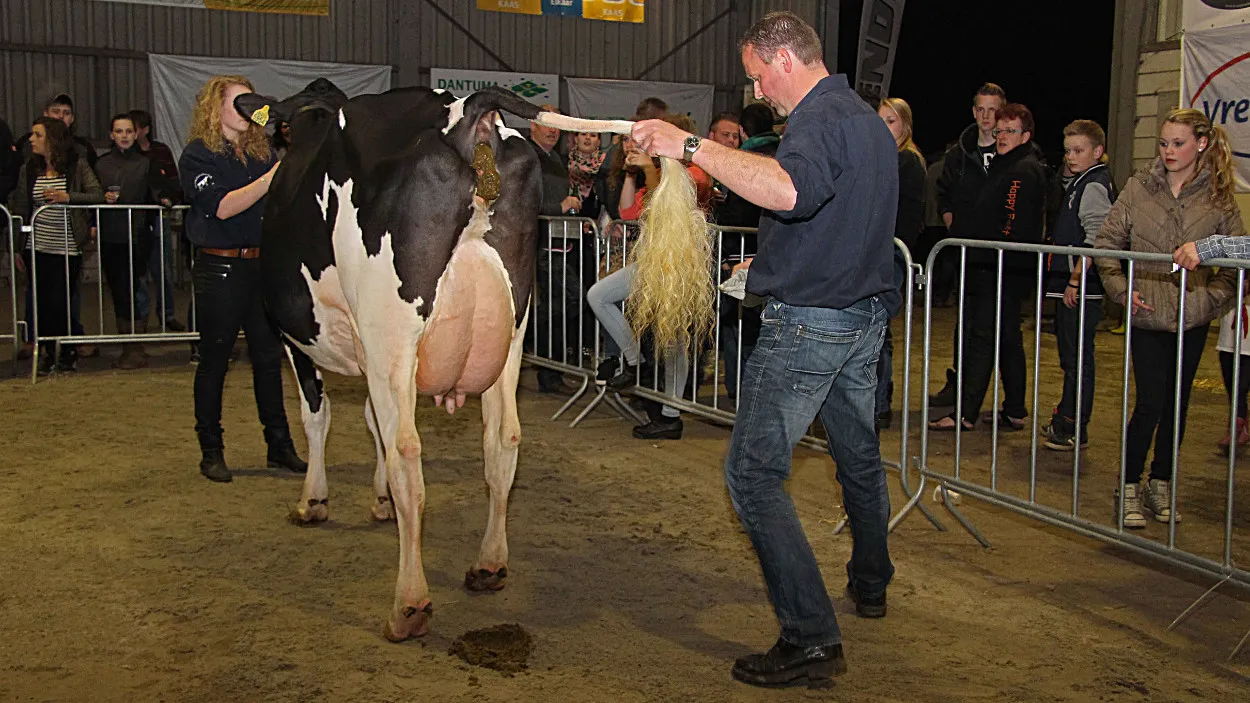 yakuc2hk6s51cgqgi5r6ngbf3 14en koe 6