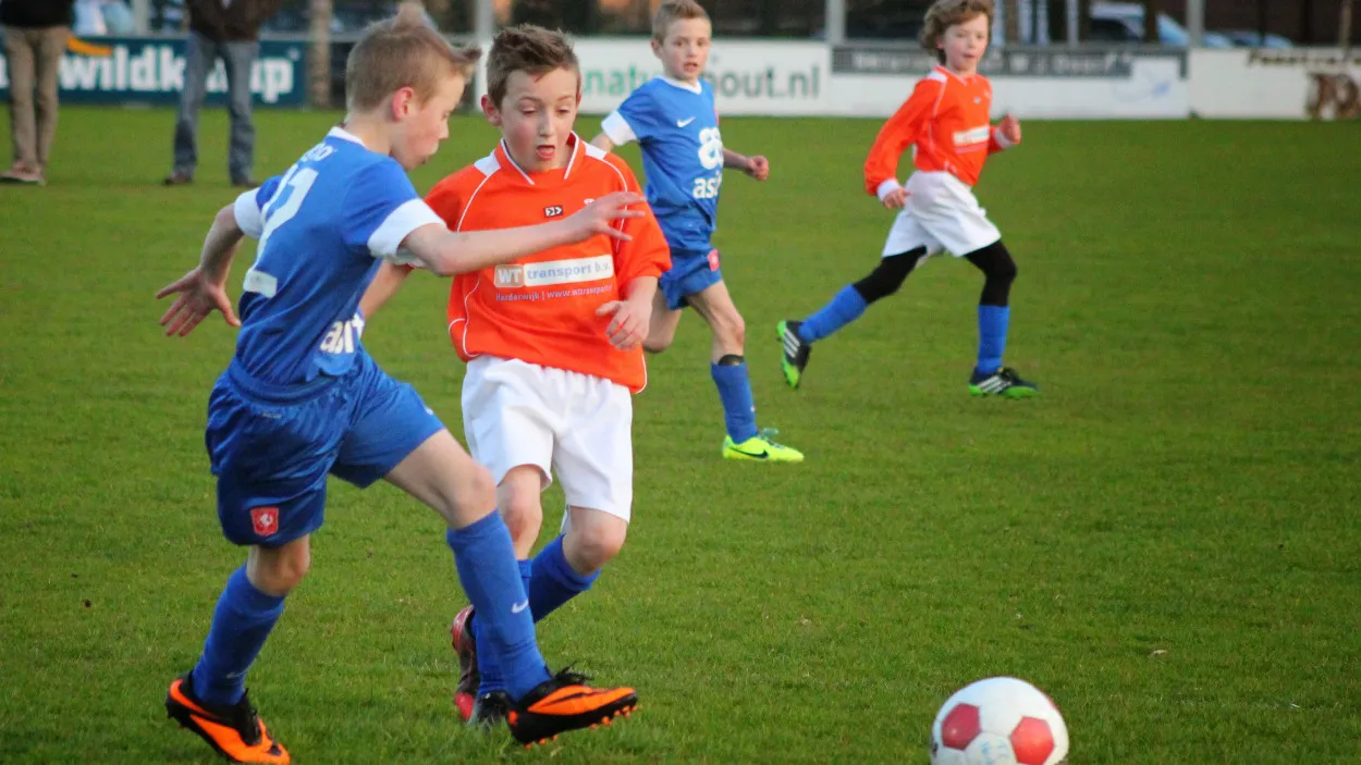 ylfrdzfj4hwv5y9c1u70n0hh9 17en horste1