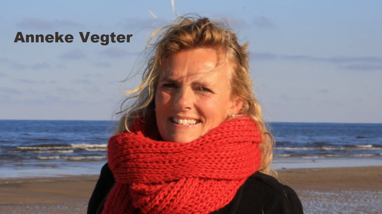 z9scfibyx50i1b2e16lux6cns 49en acaf