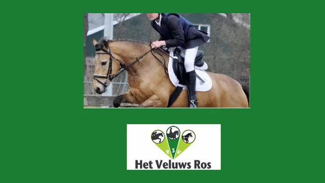 zt640tweq63ibe7syr8dxk3tp 46en vros