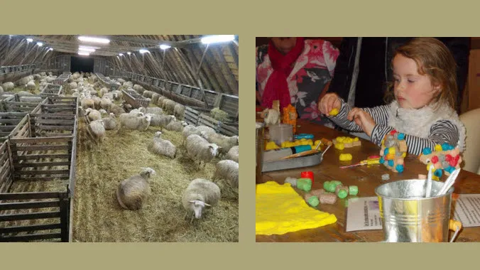 zwk3pjaptdkahq8a1zms7syie 06en hartje knutselen