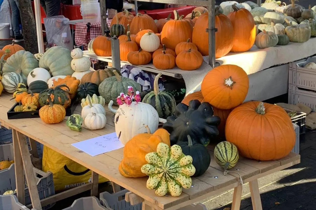 40EN Herfstmarkttt