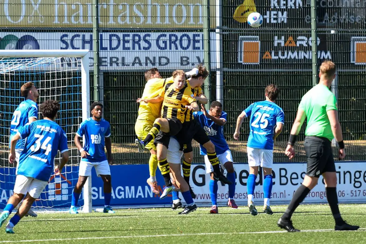 31EN DVSGG1