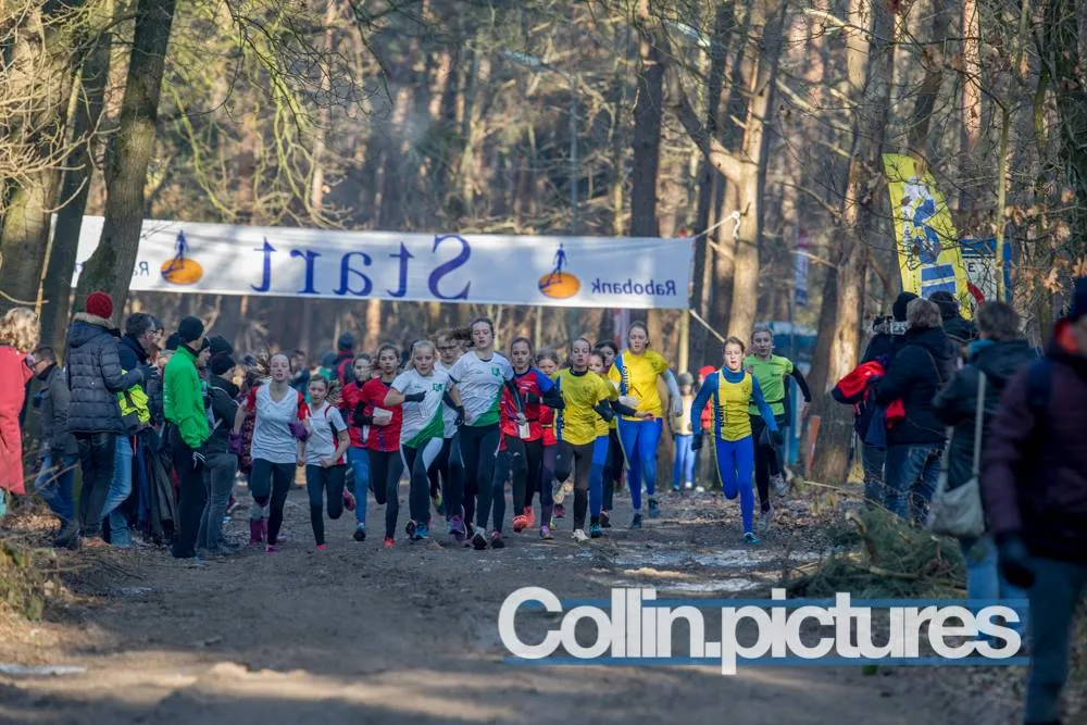 16179188 1398131523584624 6096979577982560723 o