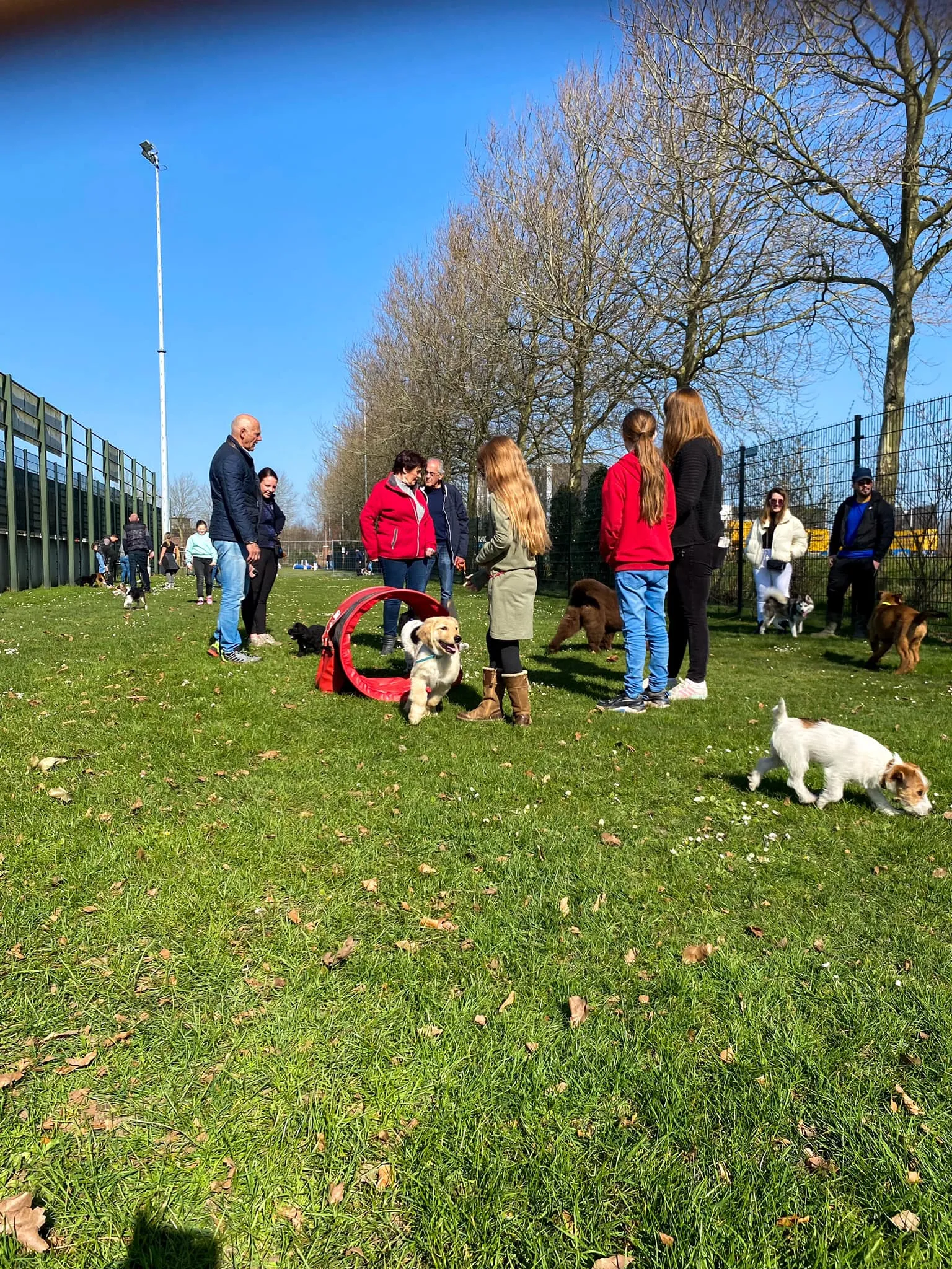 277351464 345811927488839 6081118186267744648 n