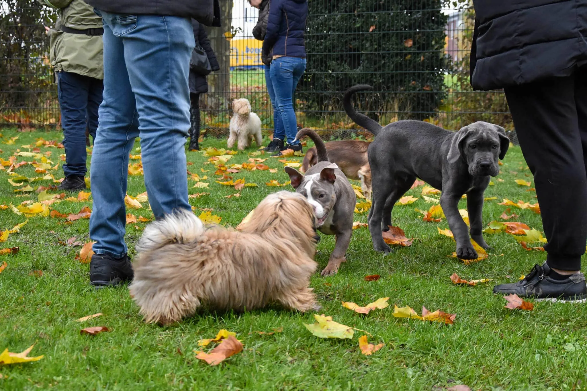 315561342 501583468578350 2236826640715659293 n