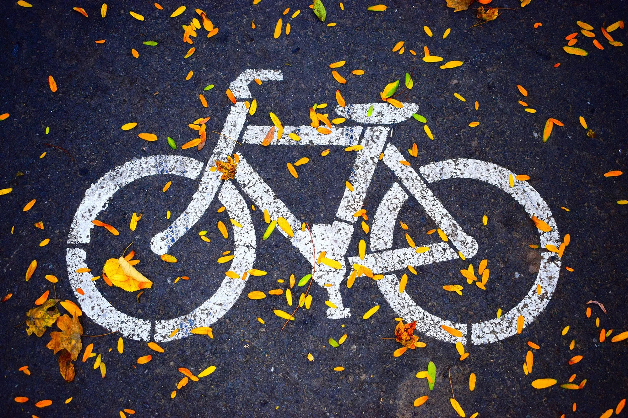 asphalt bicycle bike 686230