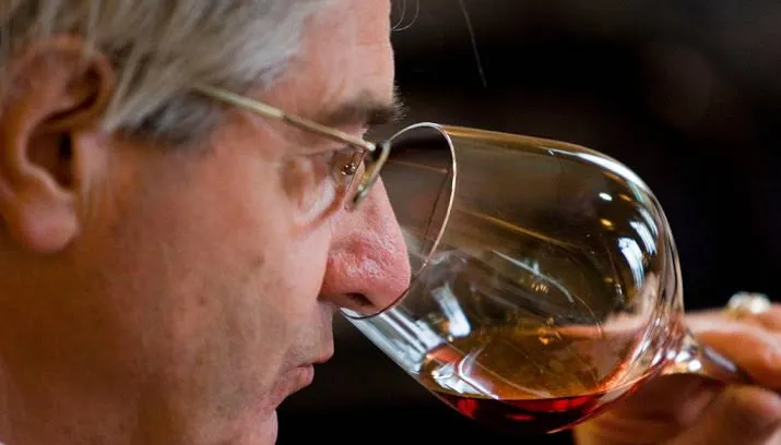 brabant in opkomst als wijnprovincie 715x408