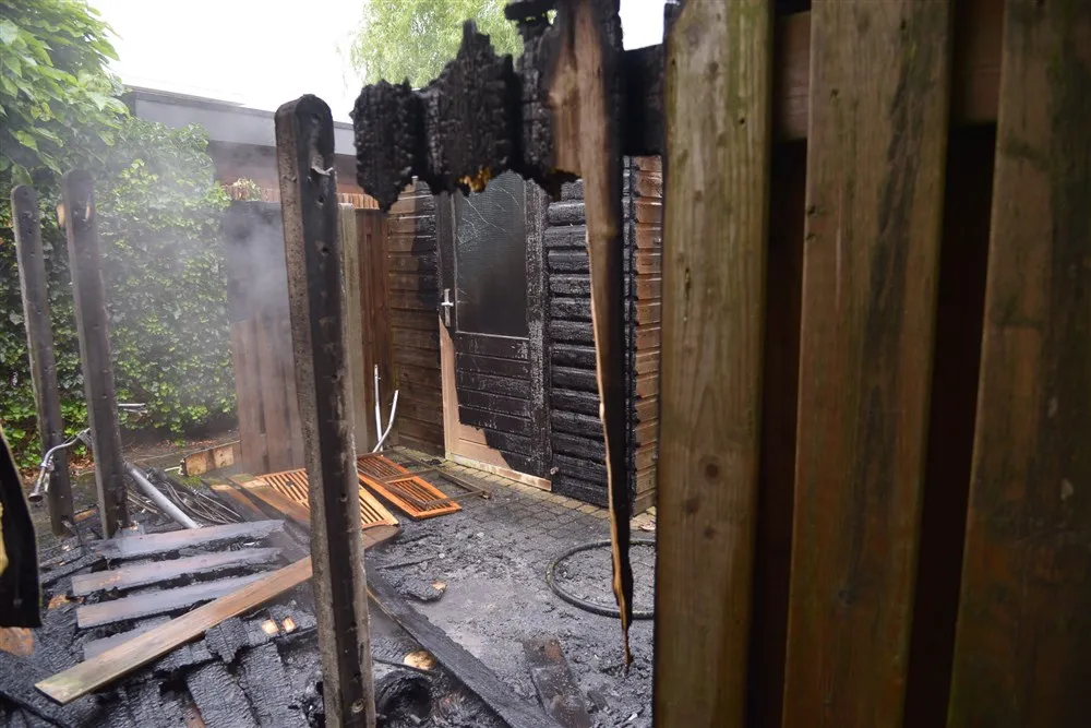 download scaled 1000x1000 54947