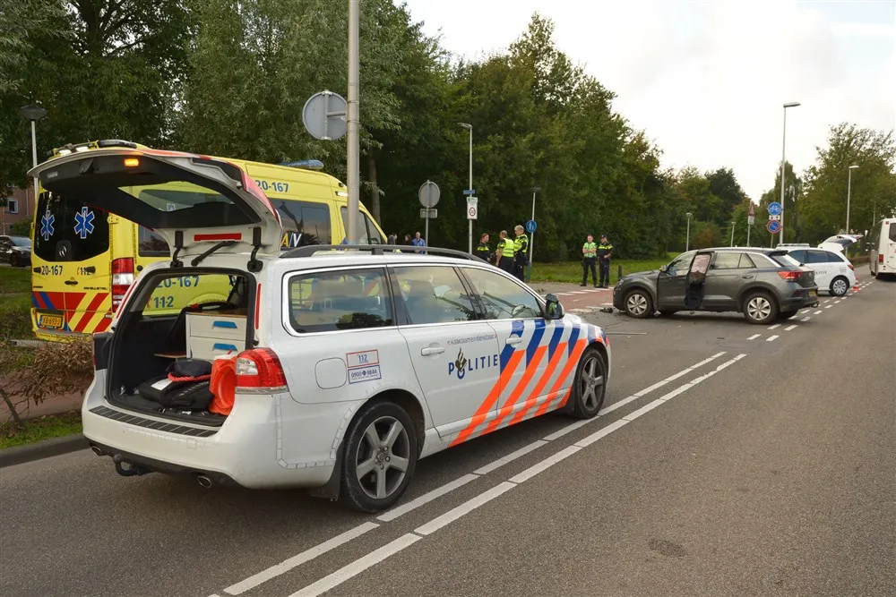 download scaled 1000x1000 62916