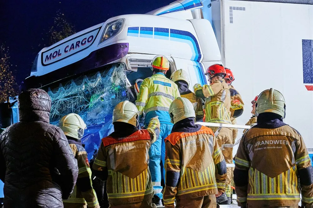 download scaled 1000x1000 67725