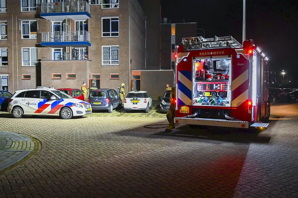 download scaled 1000x1000 71144