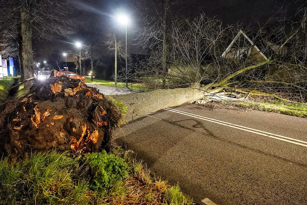 download scaled 1000x1000 76613