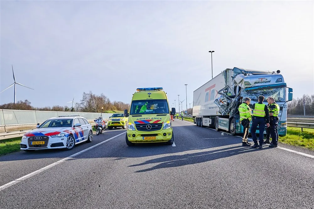 download scaled 1000x1000 82280