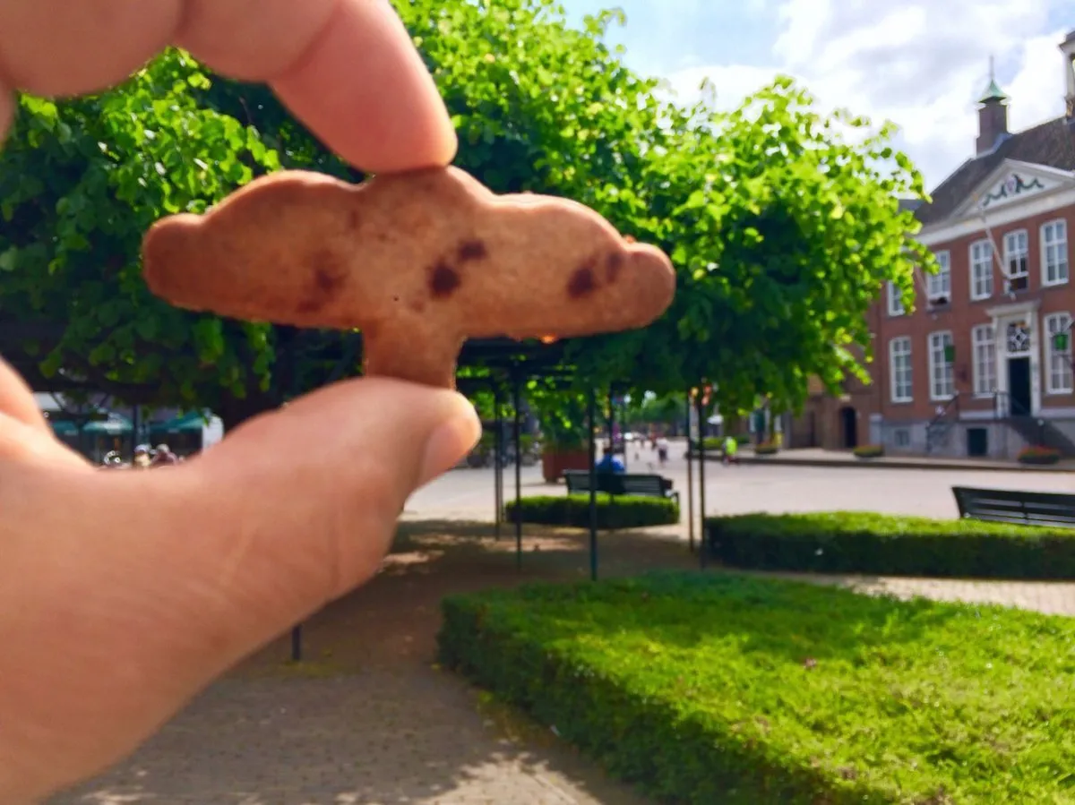 moeierboom koekje etten leur