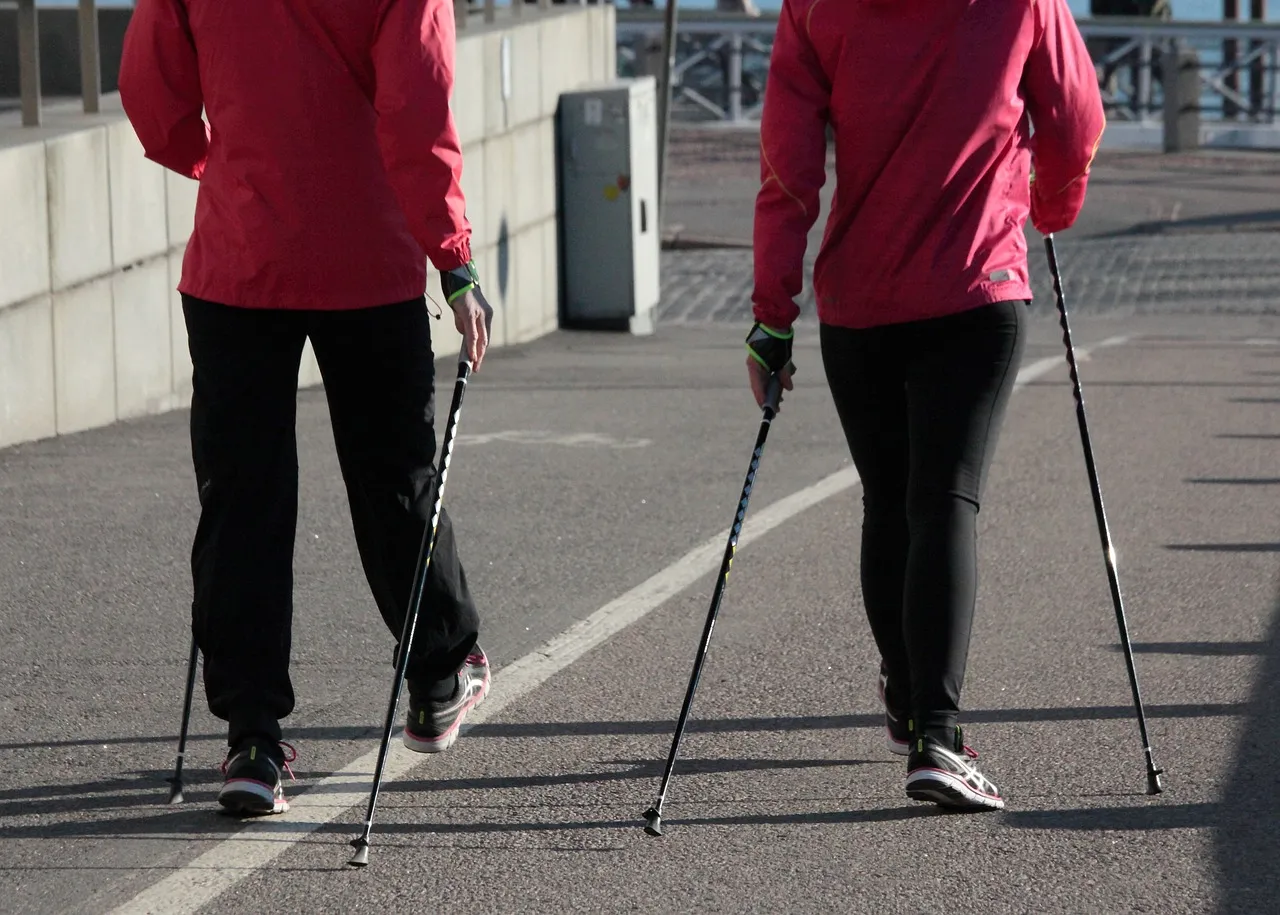nordic walking 1369306 1280
