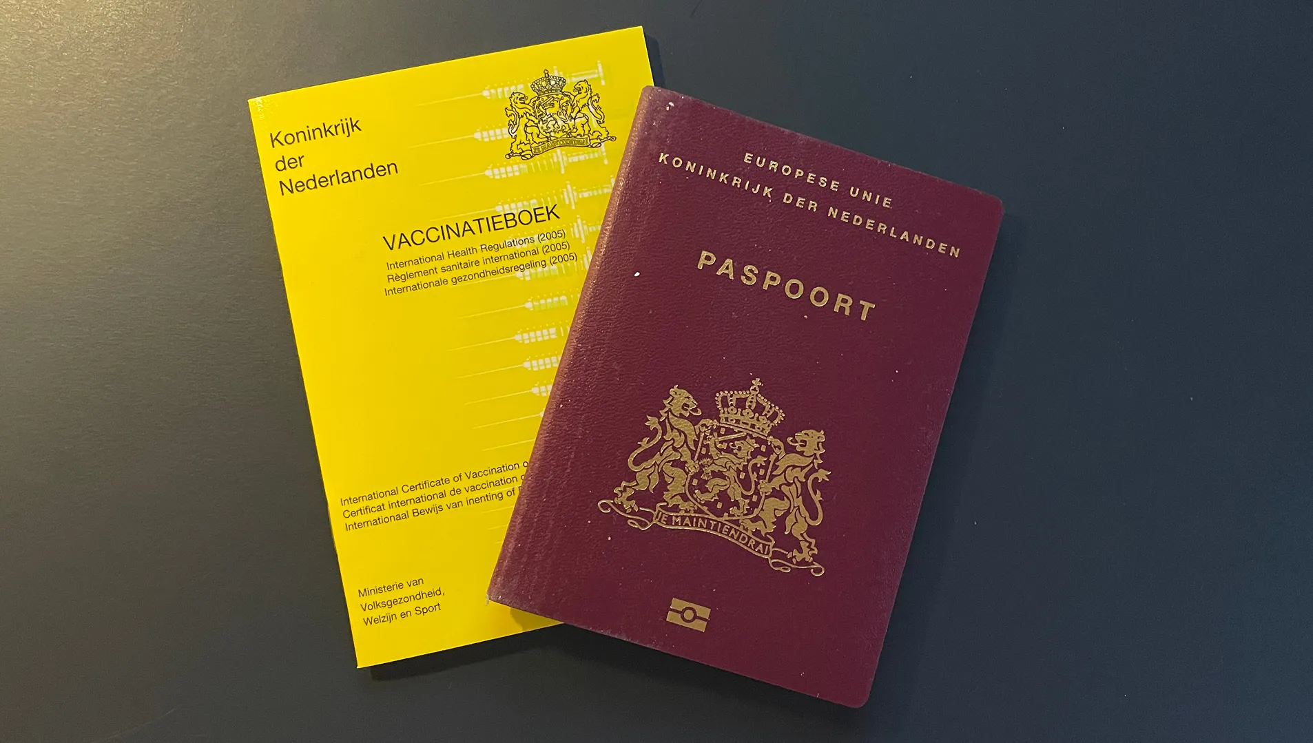 paspoort vaccinatieboekje
