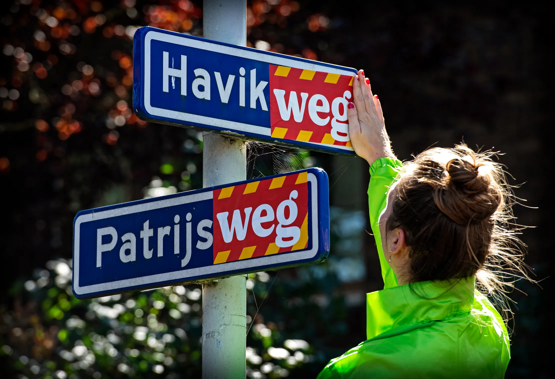 patrijs weg