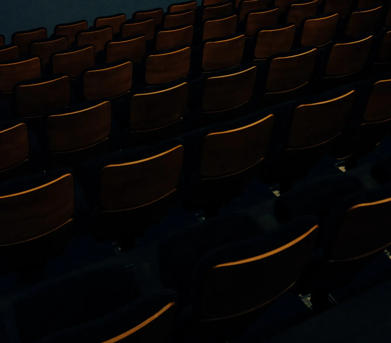 pexels adrien olichon 3709369 1