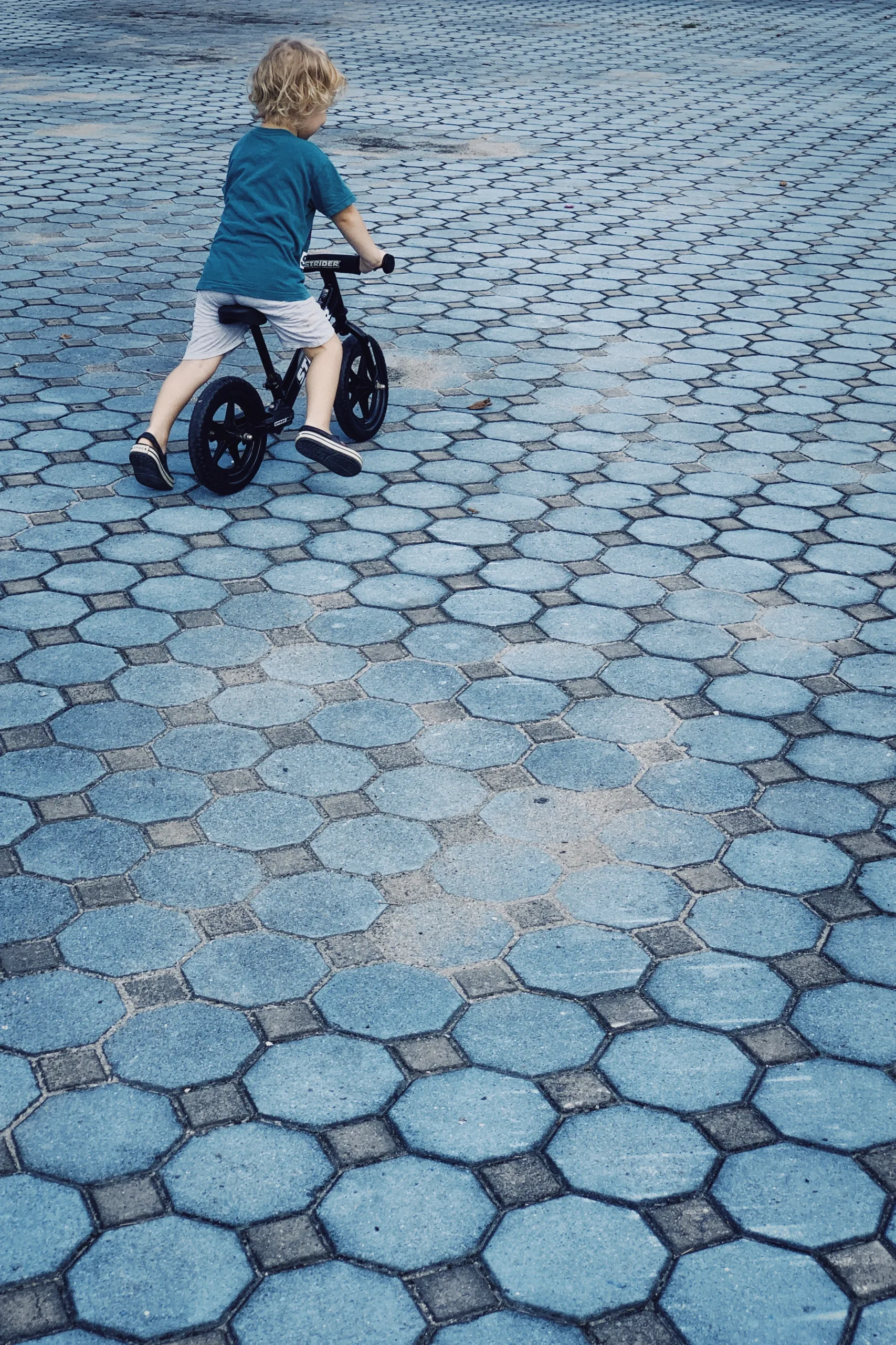 pexels alexey demidov 7774109