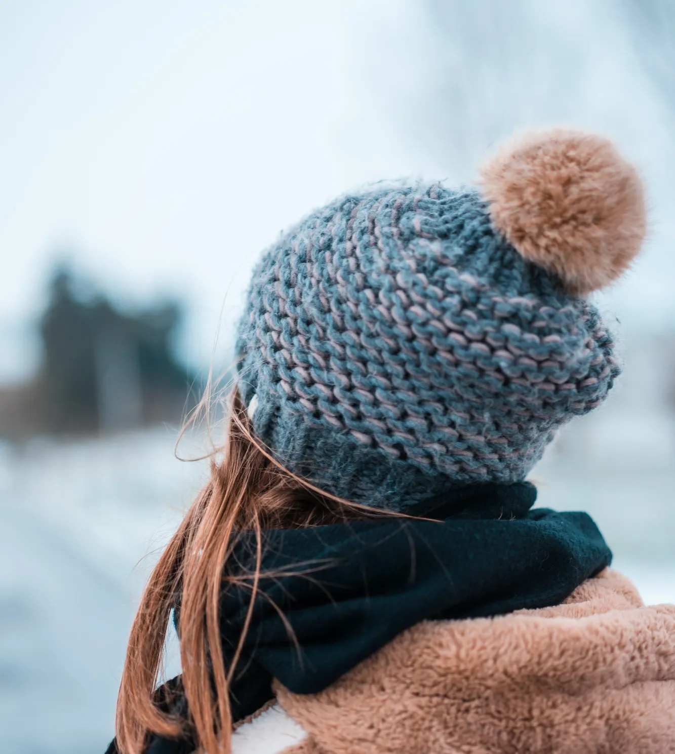 pexels guillaume meurice 2460527