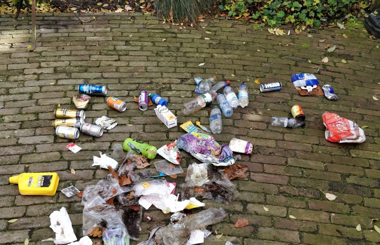 thumbnail de vangst van 19 11 2017 f21