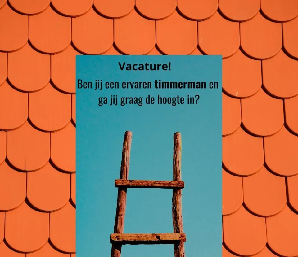 vacature timmerman e1591880739486