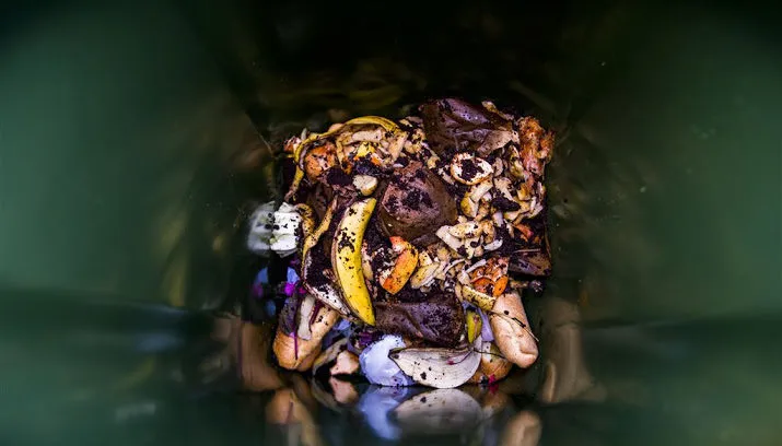 veel voedsel in afvalbak