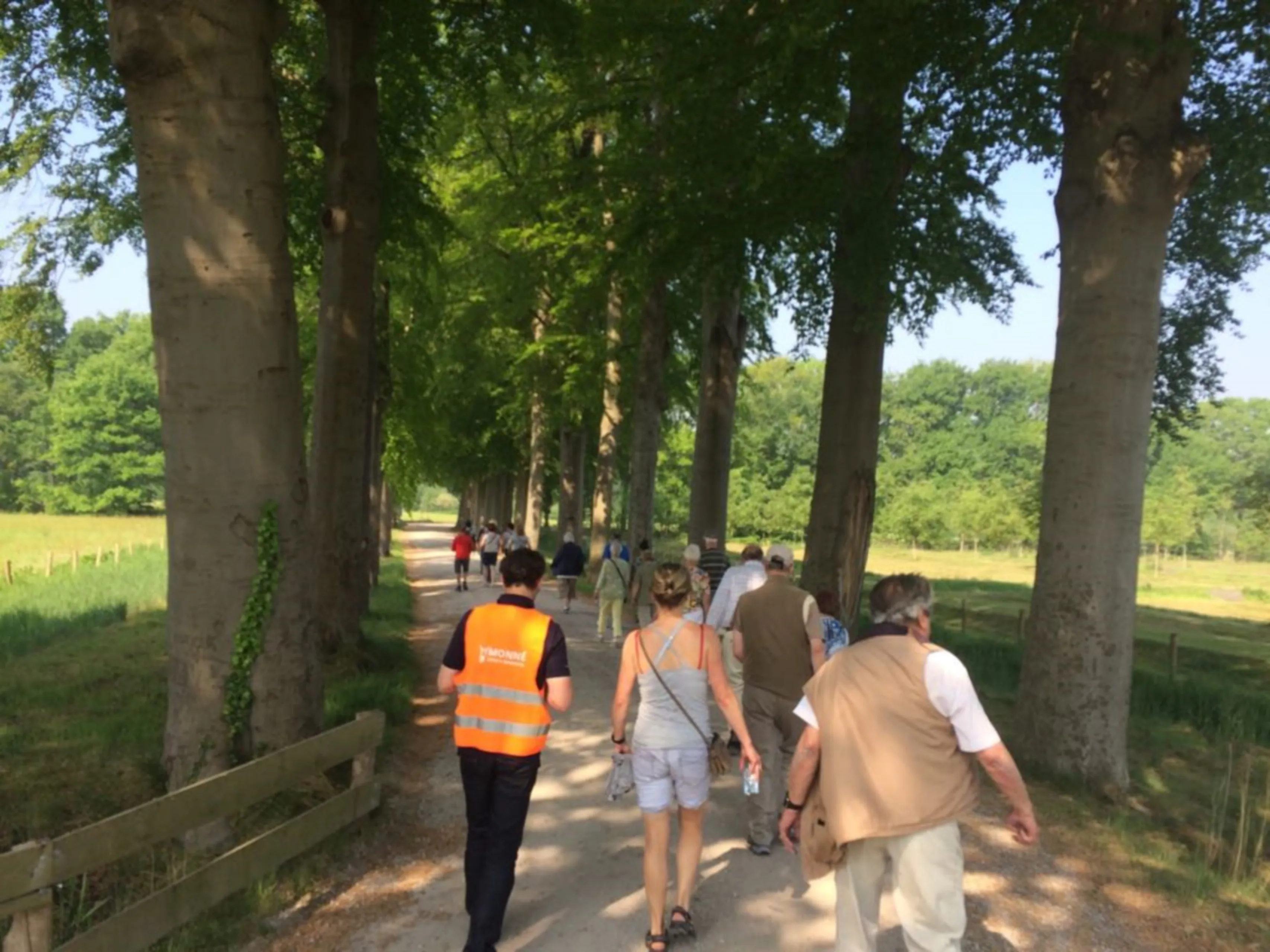 wandel challenge breda