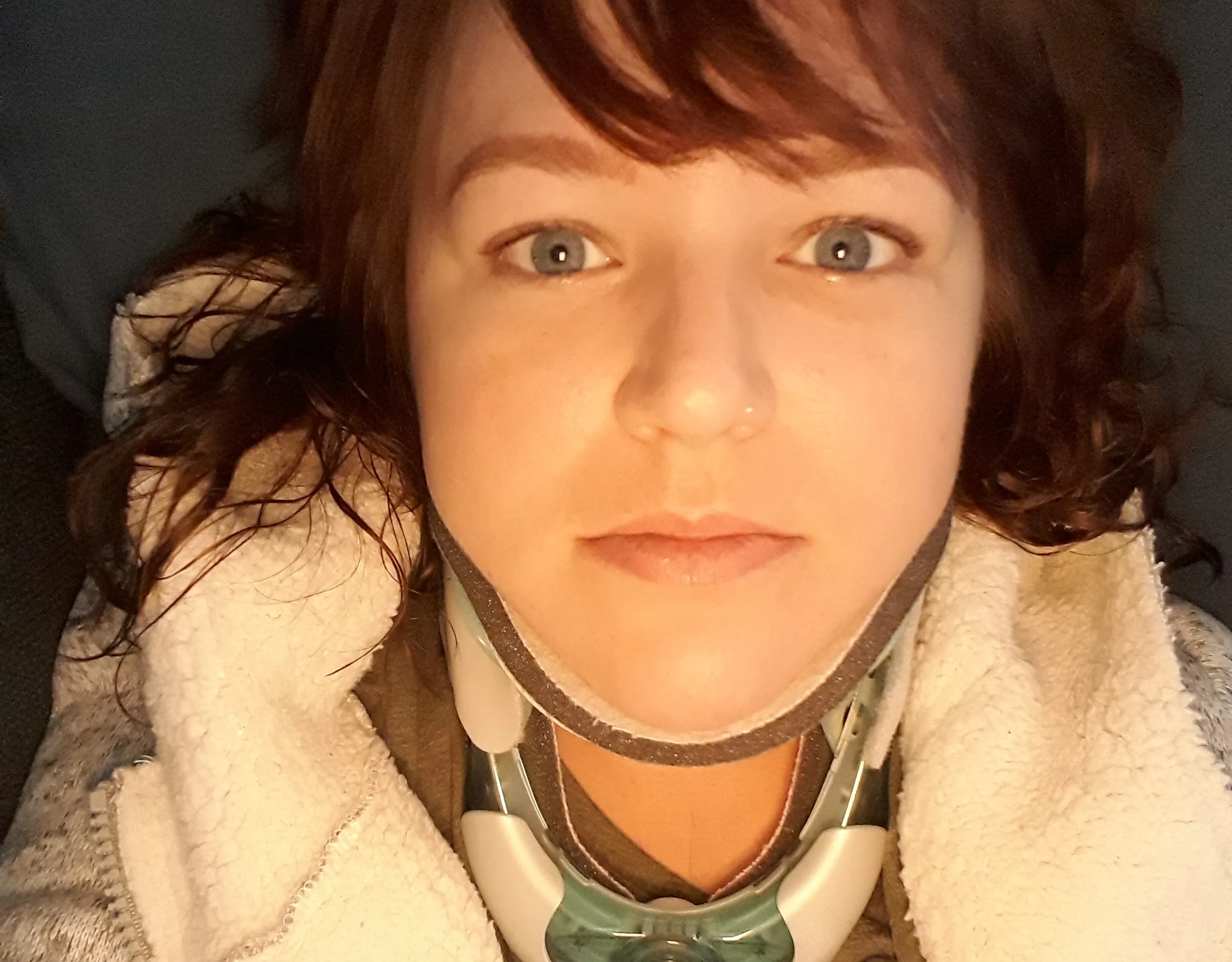 wiesje met nekkraag foto wiesje