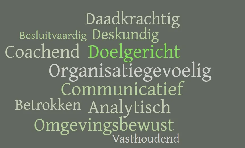wordcloud burgemeester
