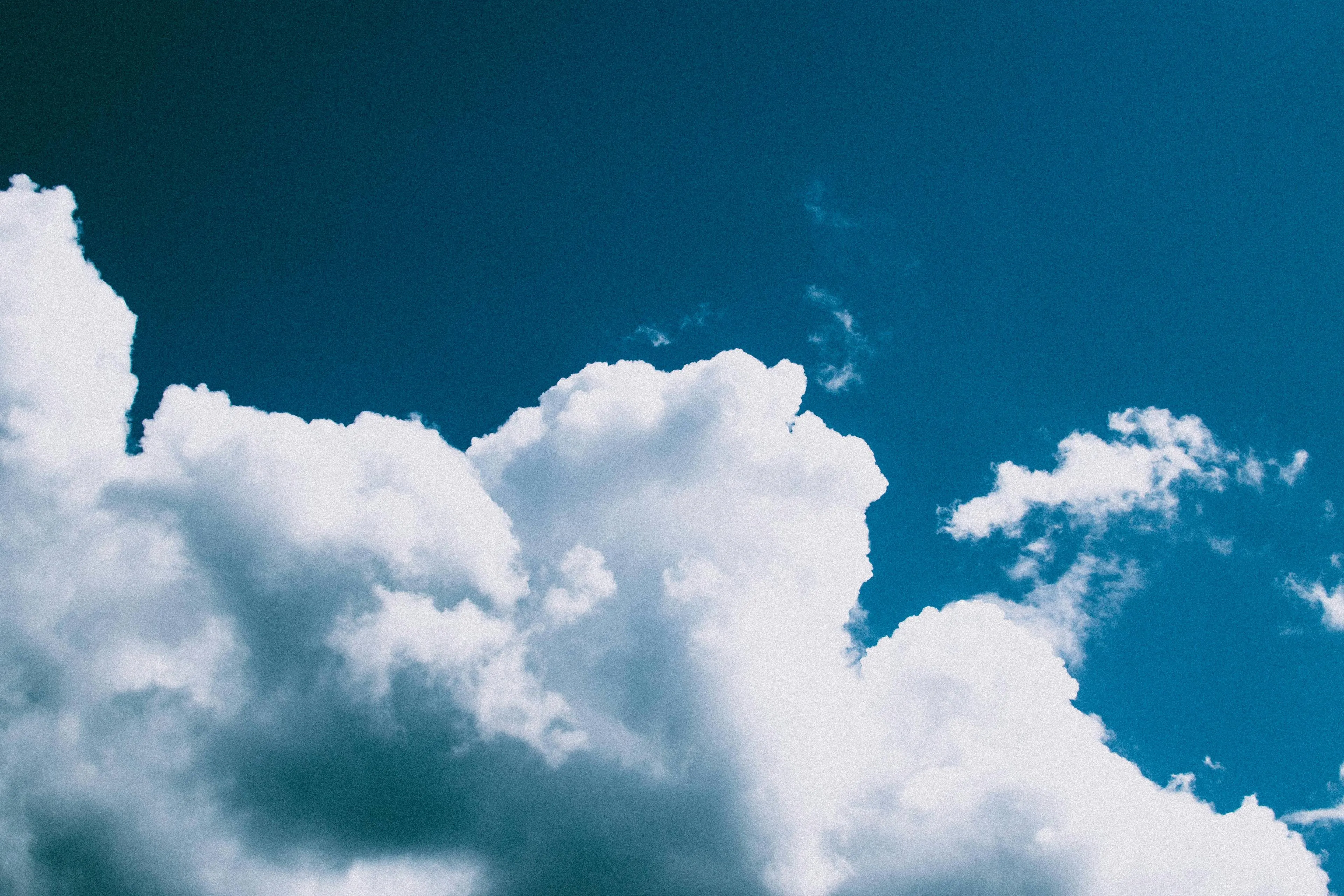 pexels fotios lucht