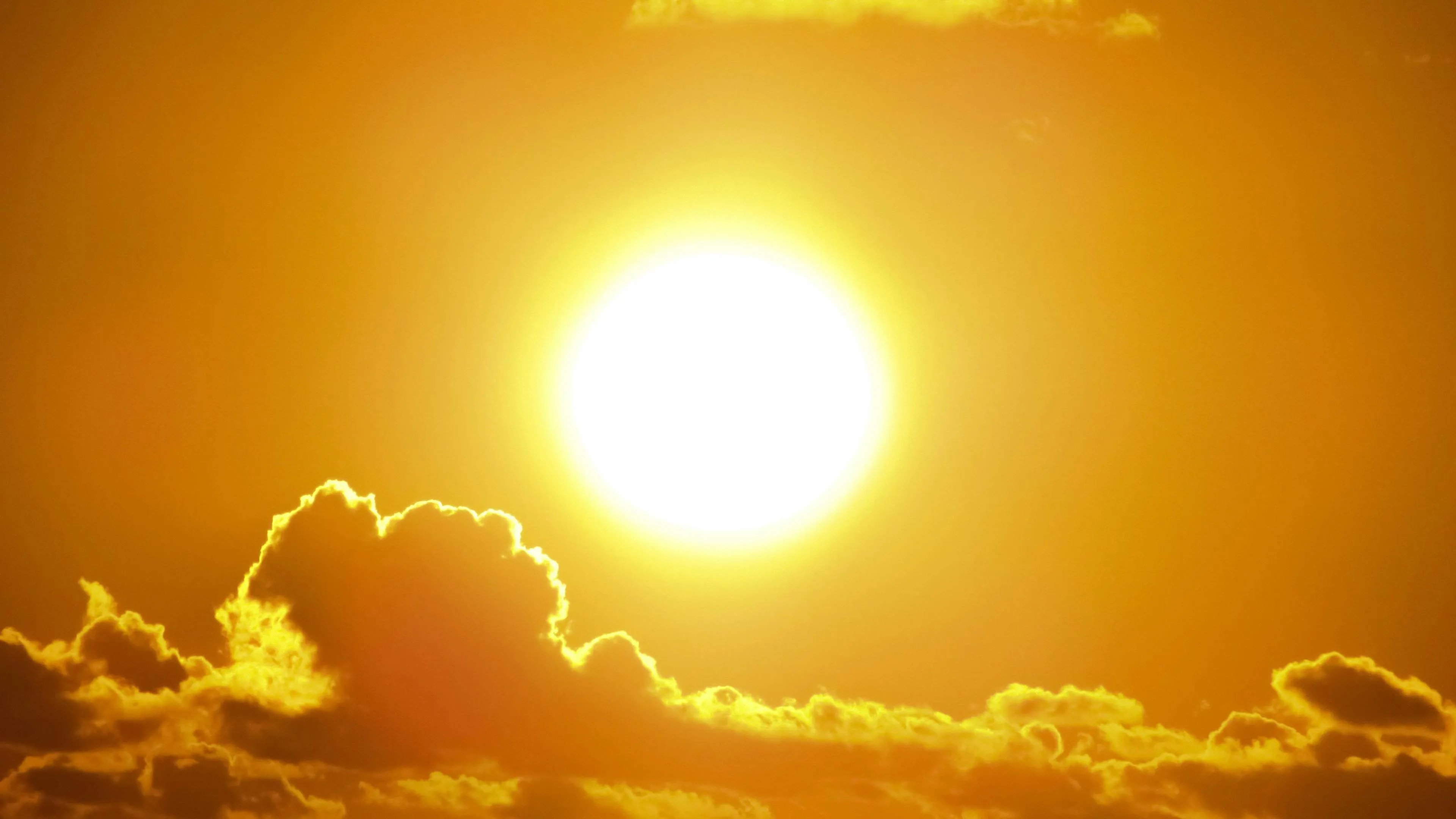 pexels pixabay 301599 zon