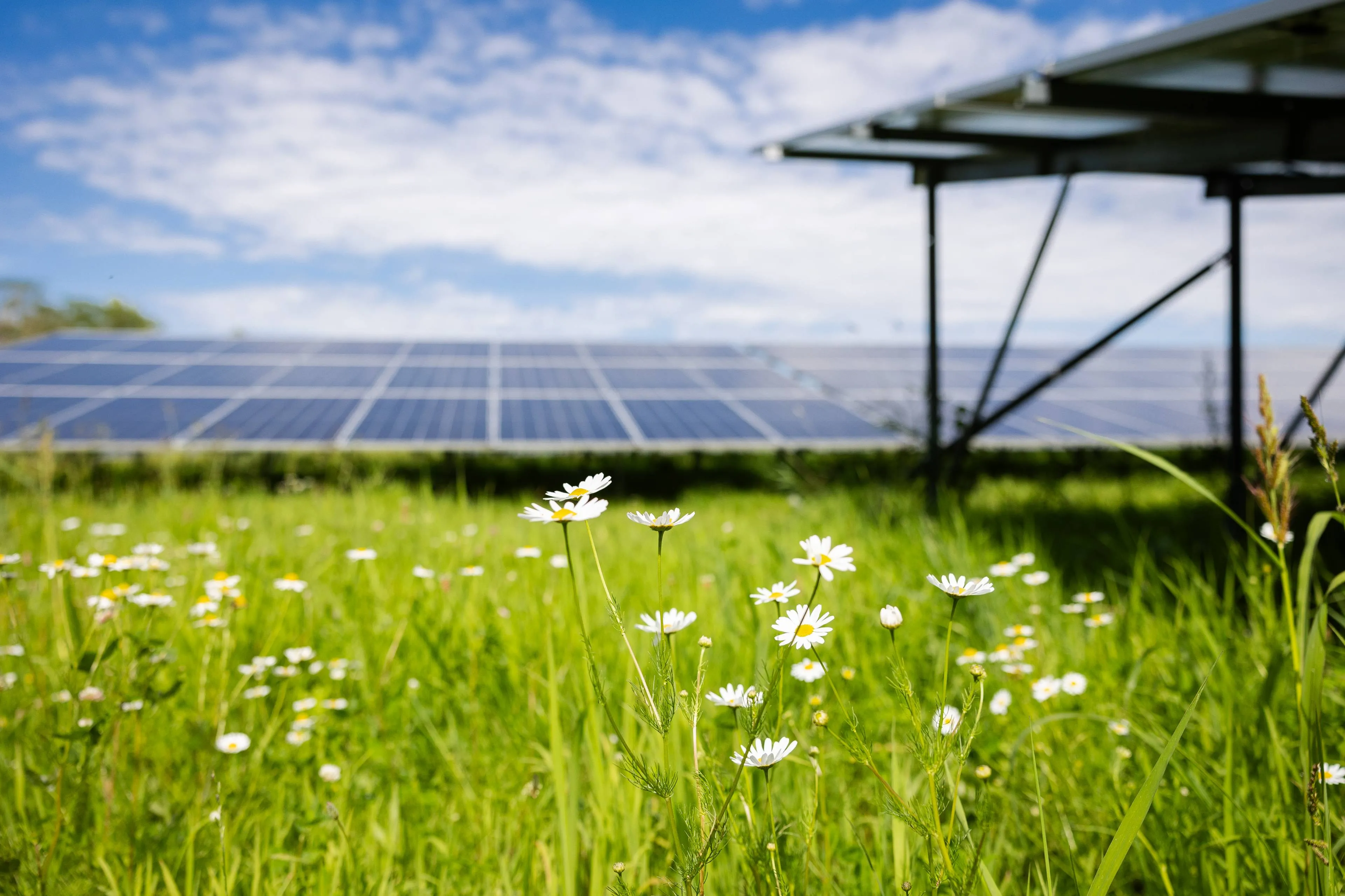 zonnepark bollendonk