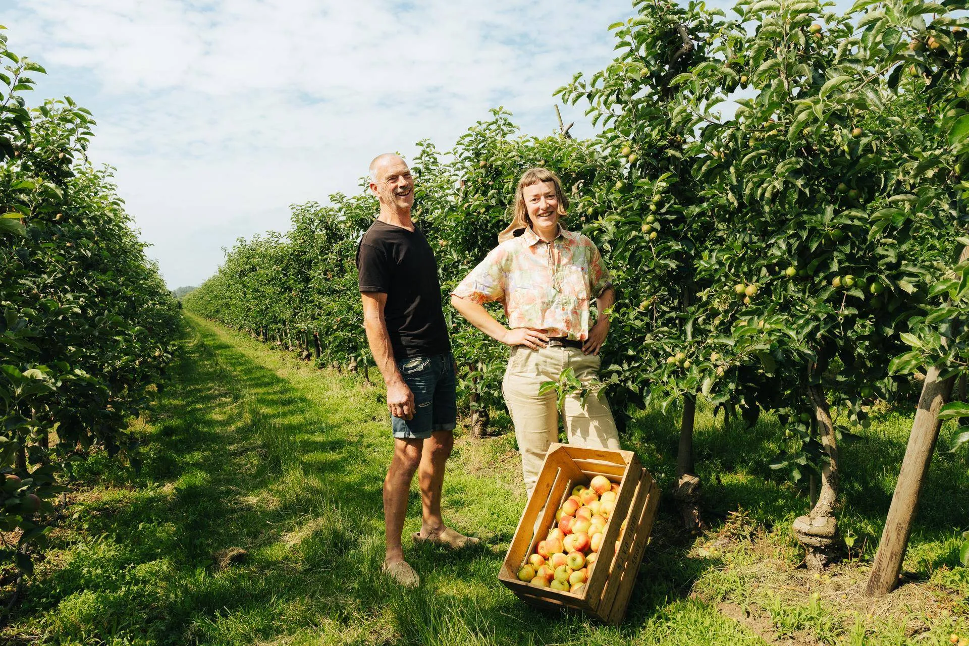 appelsap no waste army