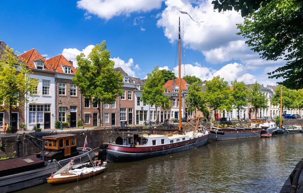 den bosch femfem