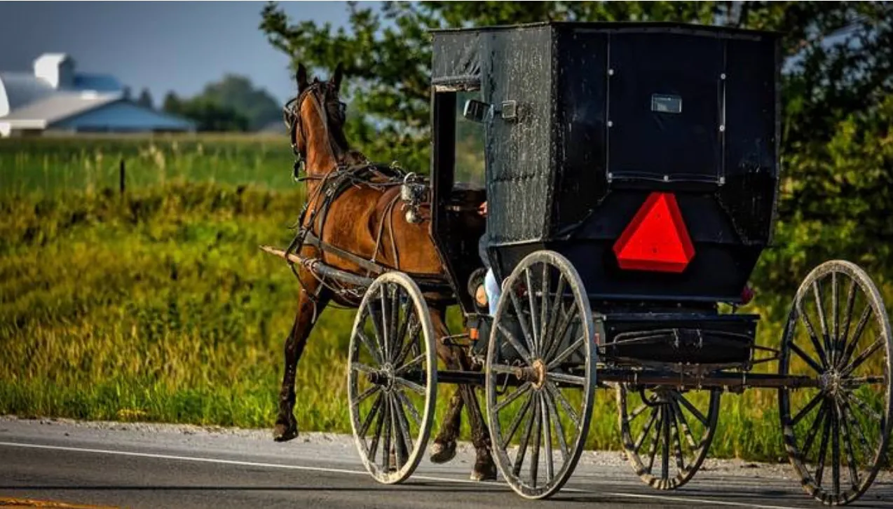 amish