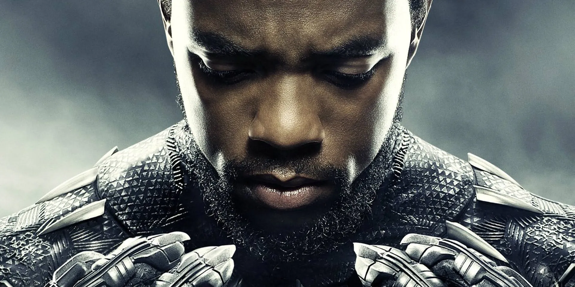 chadwick boseman from black panther poster