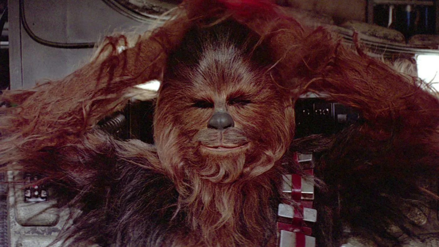 chewie db 2c0efea2 1536x864 284872943628