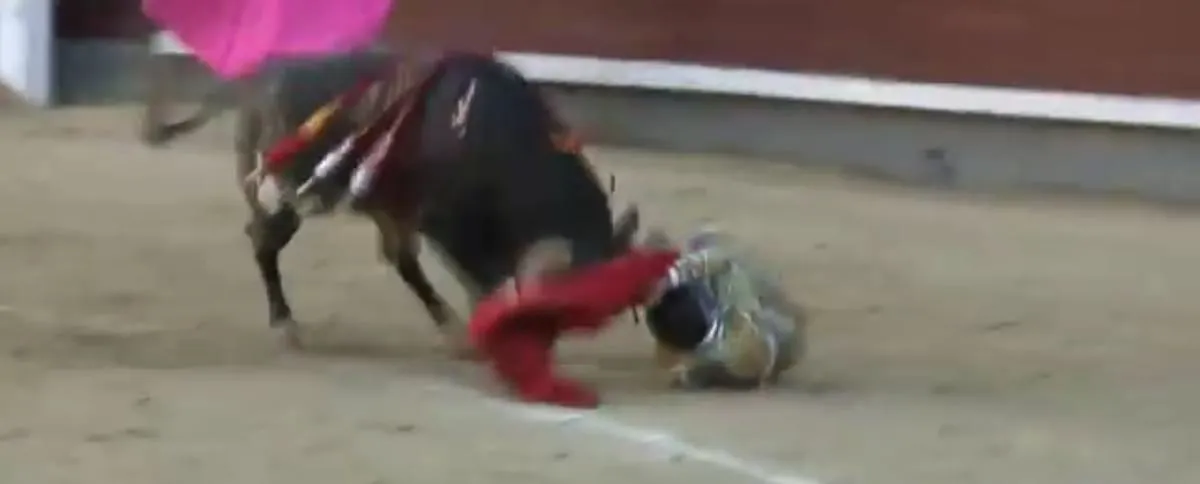 fhm bullfighting