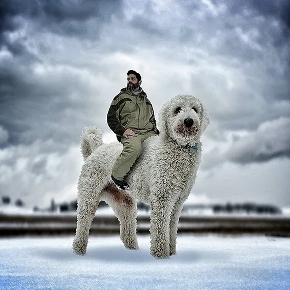 hound6